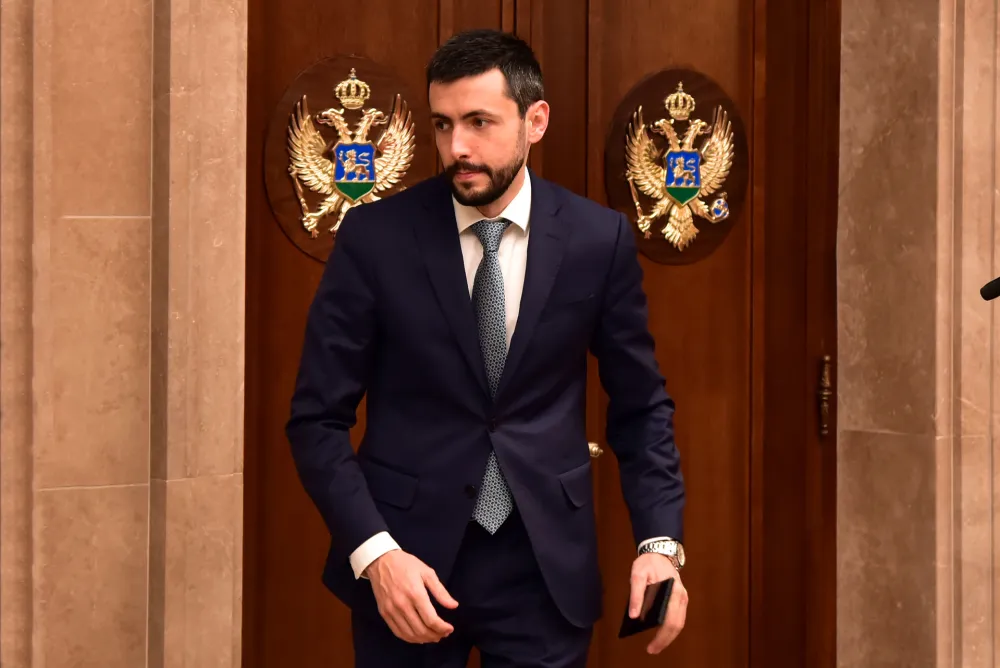 Danijel Zivkovic, Skupstina Crne Gore