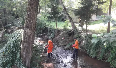 Foto: Milovan Novović