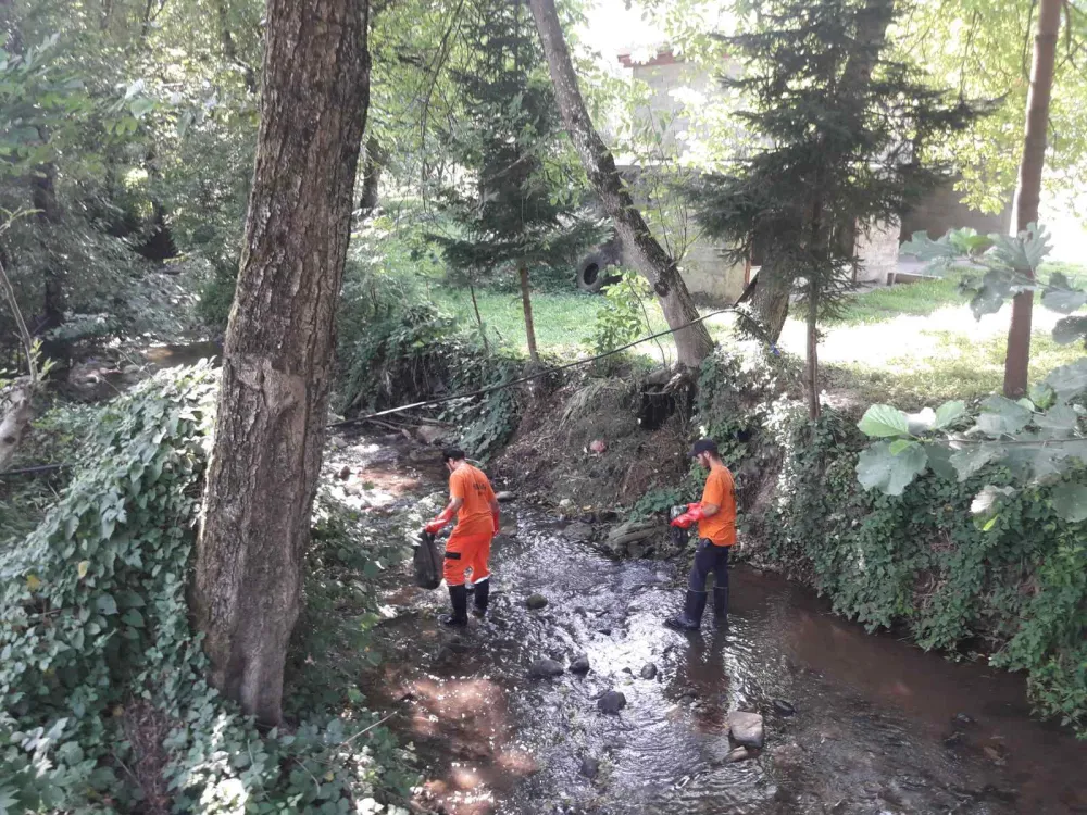 Foto: Milovan Novović