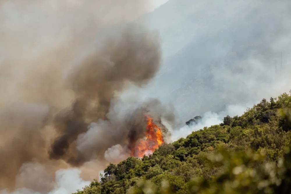 Foto: Milo&scaron; Samardžić