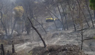 Foto: Dragan Stojanović