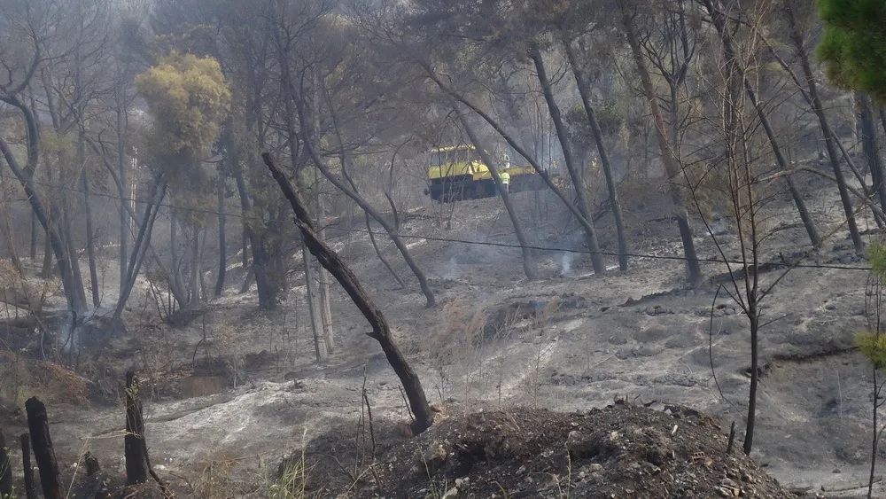 Foto: Dragan Stojanović