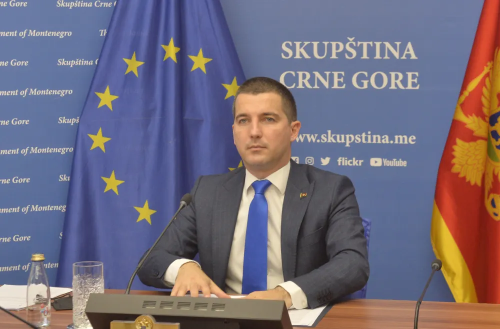 Sjednica crnogorskih i evropskih poslanika, Aleksa Becic