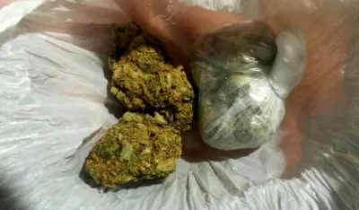 zaplijenjena marihuana