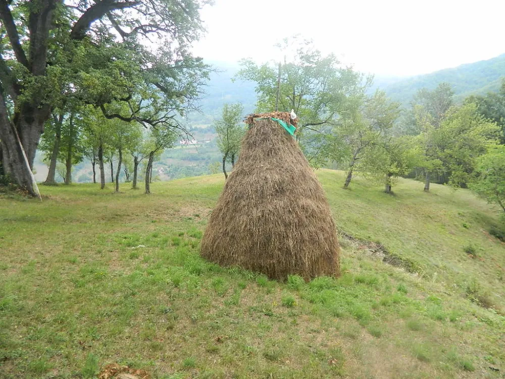 Стогови сијена никад мањи