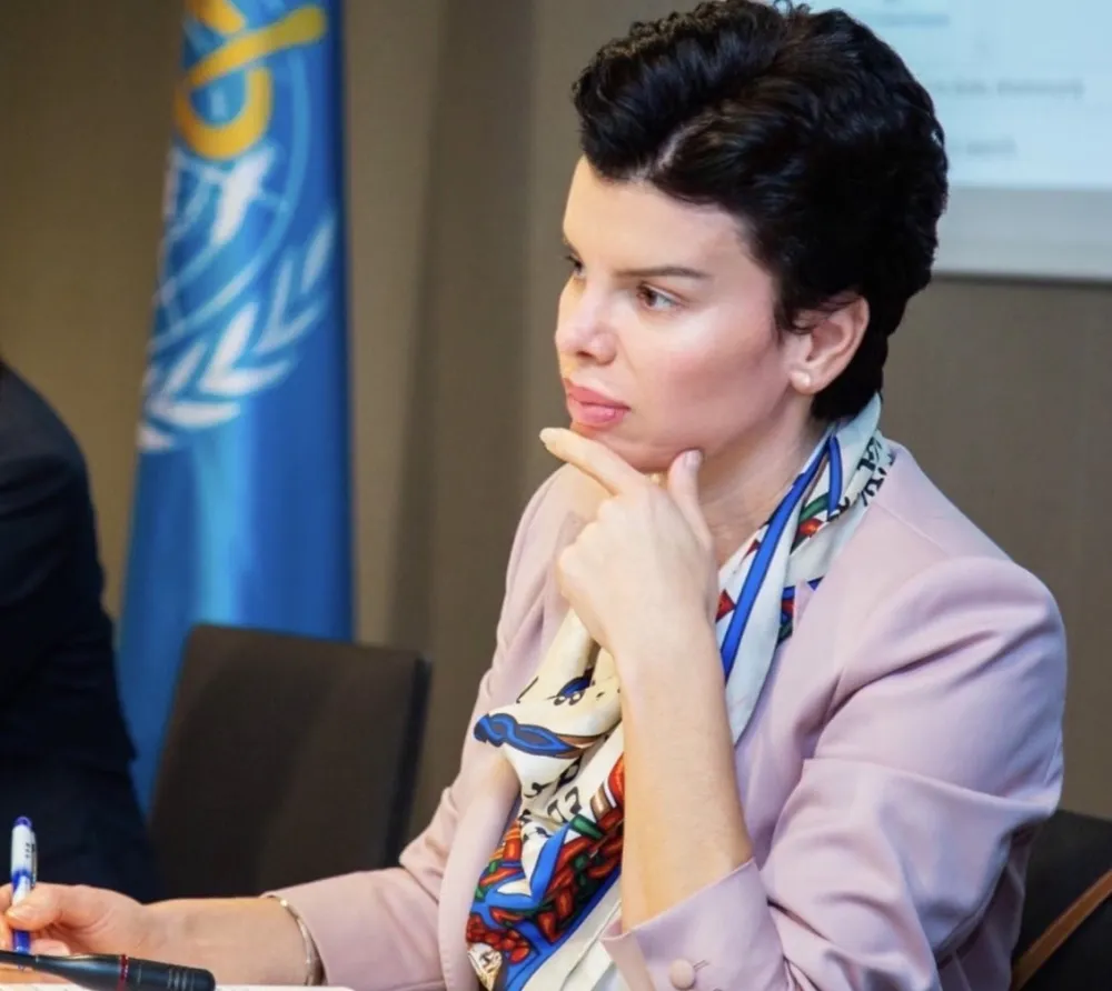 Мина Брајовић