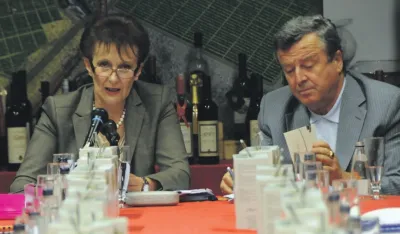 verica maras veselin vukotic plantaze direktor