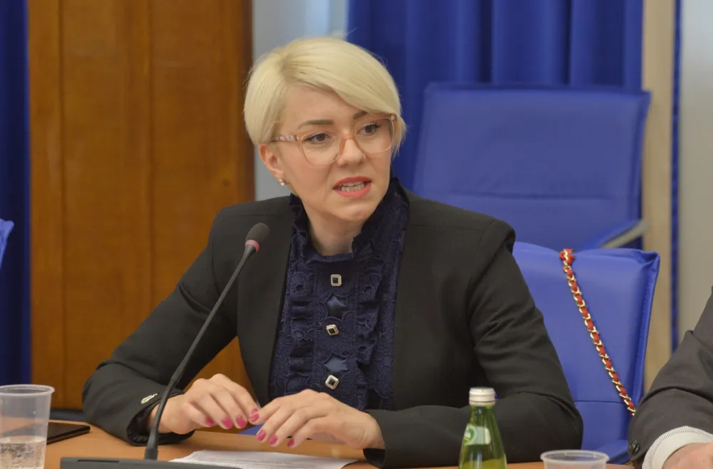 Odbor za ekonomiju, Odbor za ekonomiju amandmani na budzet, amandmani na budzet, Jelena Bozovic