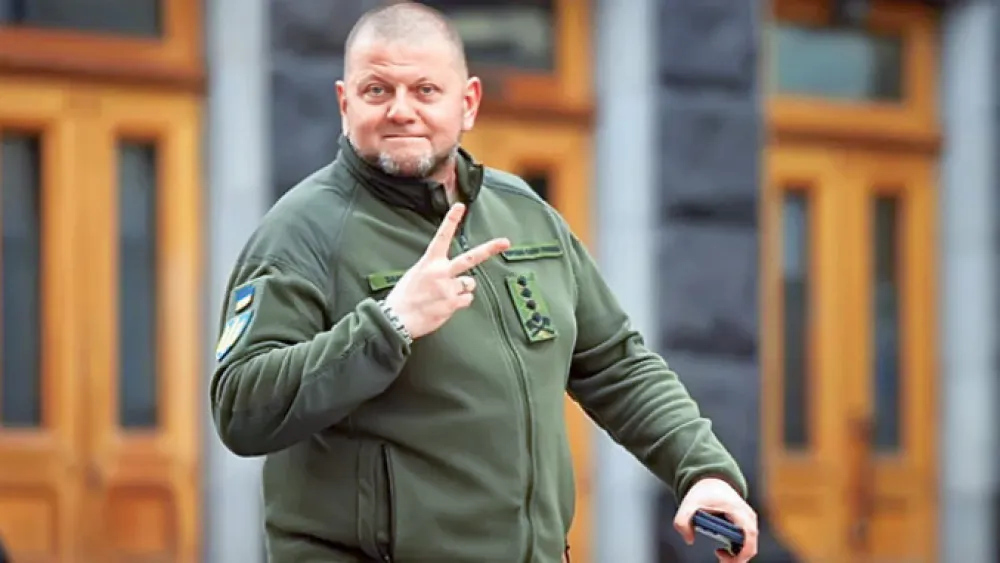 Valerij Zalužni