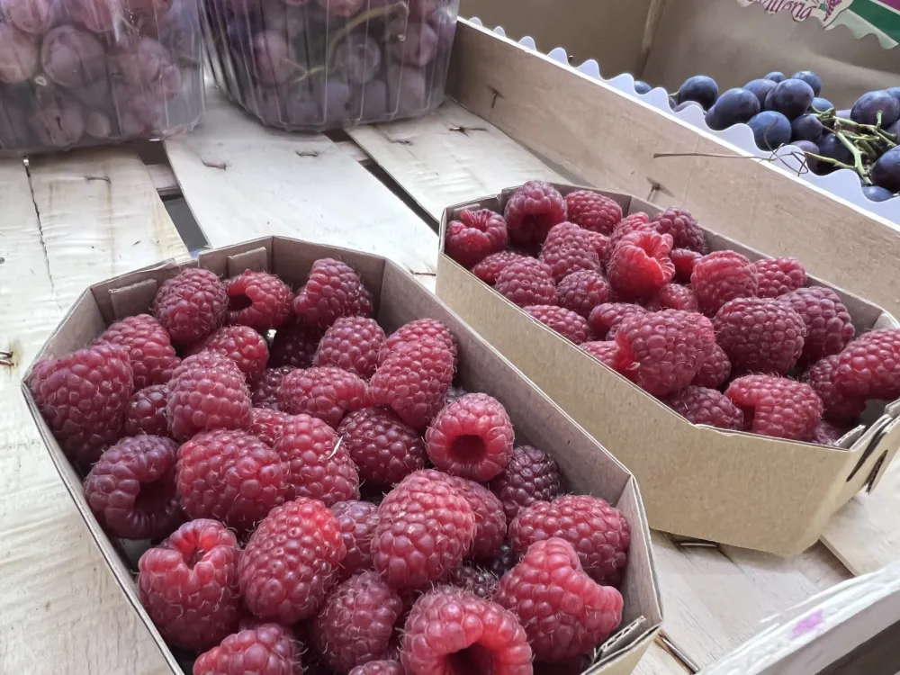 Na zelenoј piјaci u TC Forum: Za kilogram sira pet kila malina