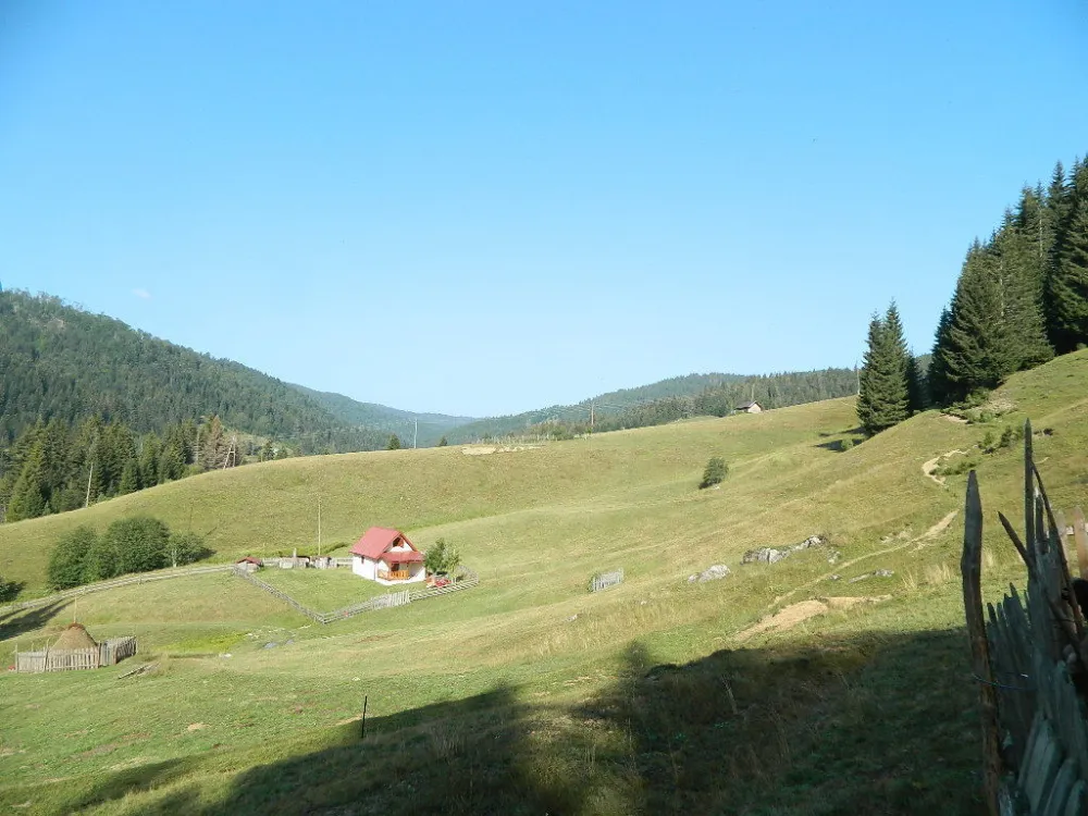 Foto: Dan 
