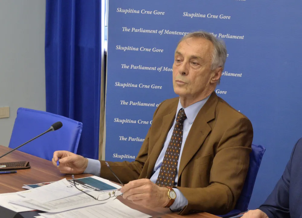 Odbor za medjunarodne odnose, Miodrag Lekic