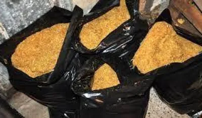 &scaron;vercovani duvan