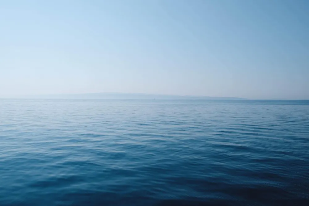 Unsplash ilustracija