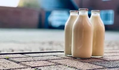 Photo by Elizabeth Dunne on Unsplash