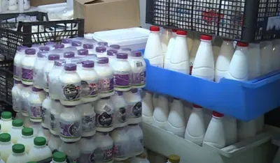 Nesta&scaron;ica mlijeka i u BiH