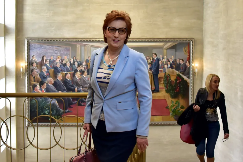 Zdenka Popovic odbor za ekonomiju akcize 