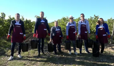 Francuski ambasador pomagao u berbi ngrožđa