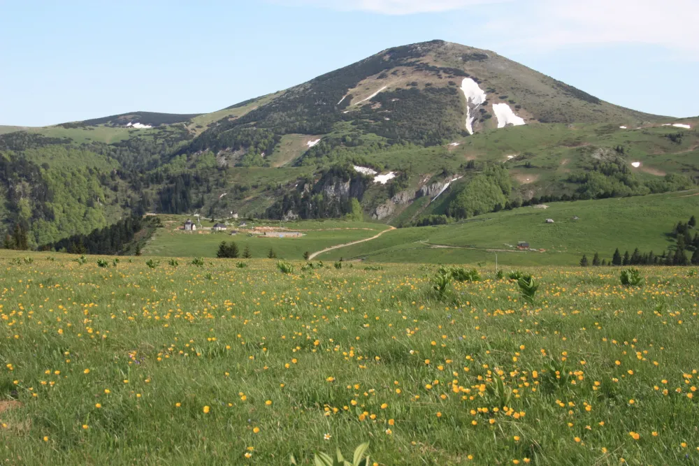 Direktorica TO zadovoljna sezonom: Biјelo Polje postaјe sve omiljeniјa destinaciјa