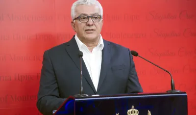 andrija mandic