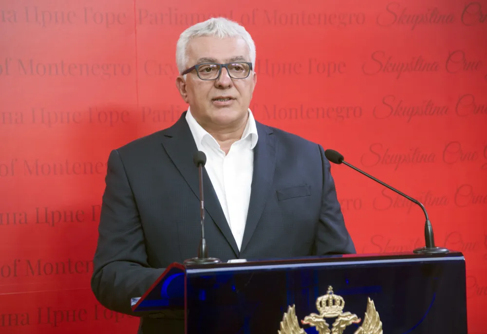 andrija mandic
