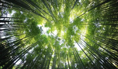 Photo by kazuend on Unsplash