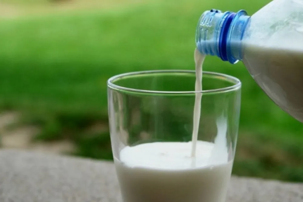 Neće nedostajati mlijeka i mliječnih proizvoda u marketima