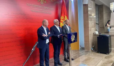 mandić kneževic df