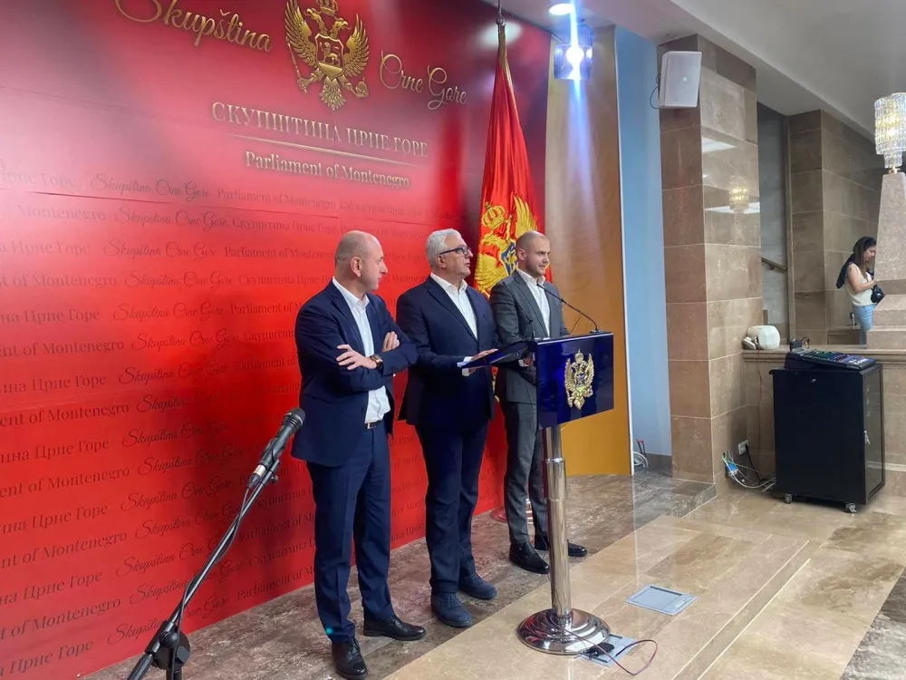 mandić kneževic df