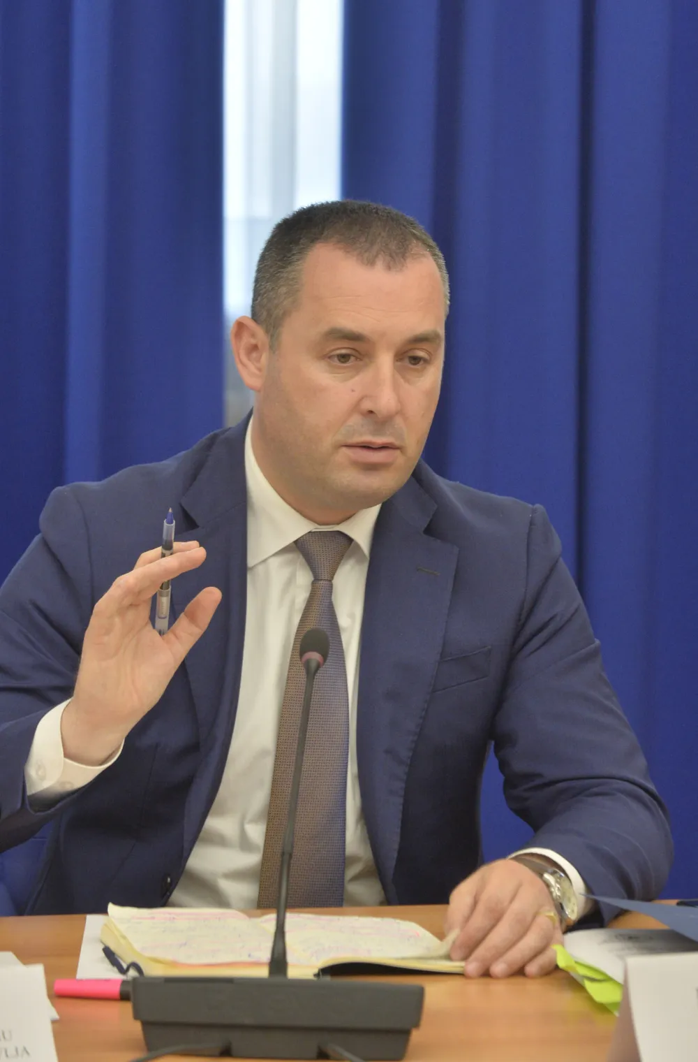 Odbor za zdravstvo, zasjedanje odbora za zdravstvo, Dragoslav Scekic, ministar zdravlja