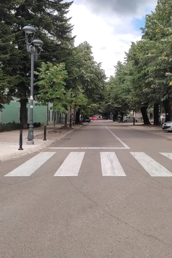 sahrana u cetinju posle ubistva