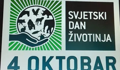 dan zivotinja