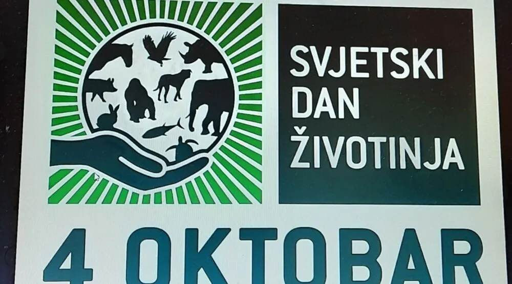 dan zivotinja