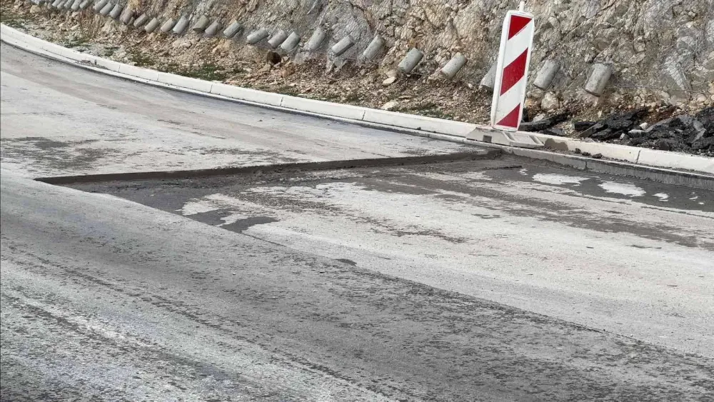 Foto: Božidar Jelovac 
