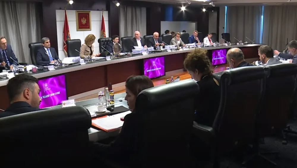 Vladimir Bulajić imenovan za v.d. direktora Uprave prihoda i carina