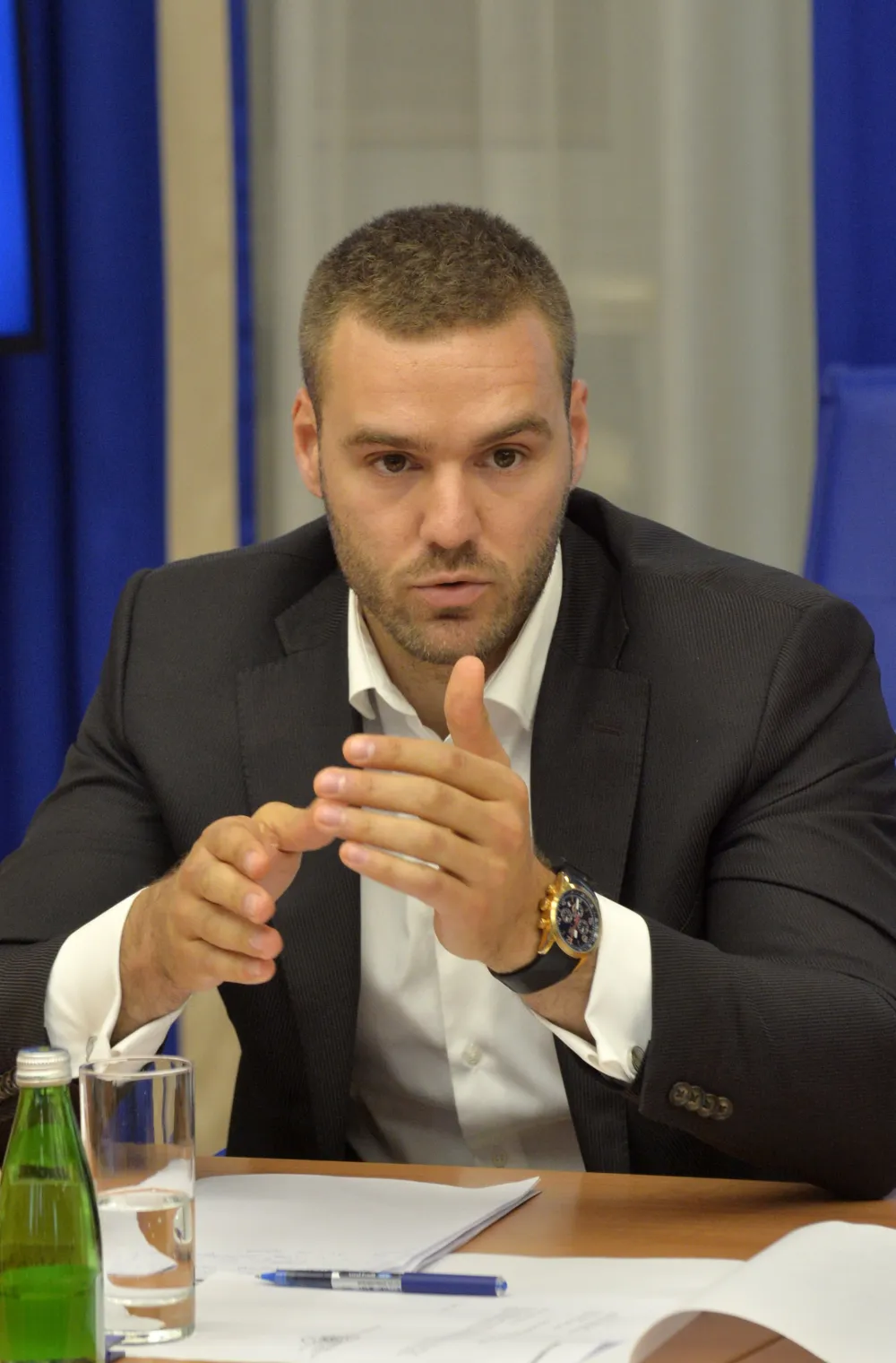 Odbor za ekonomiju, rebalans budzeta, odbor za ekonomiju rebalans budzeta, Nikola Rakocevic