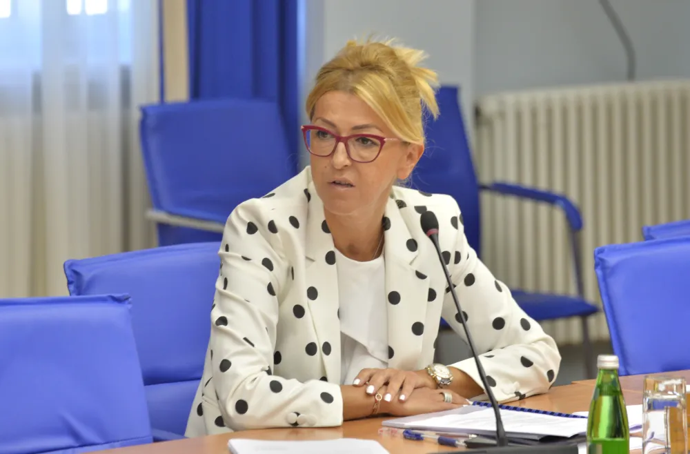 Administrativni odbor, sjednica administrativnog odbora, Suzana Pribilovic