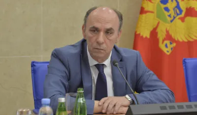 Odbor za zdravstvo, odbor za zdravstvo rad i socijalno staranje, Srdjan Pavicevic