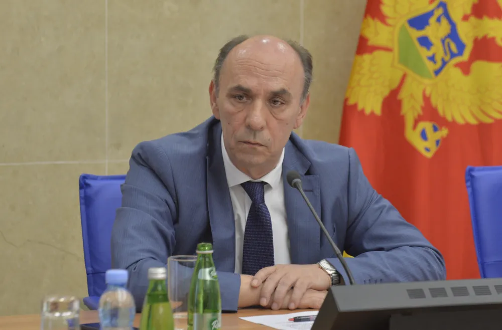 Odbor za zdravstvo, odbor za zdravstvo rad i socijalno staranje, Srdjan Pavicevic