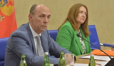 Odbor za zdravstvo, zasjedanje odbora za zdravstvo, Srdjan Pavicevic