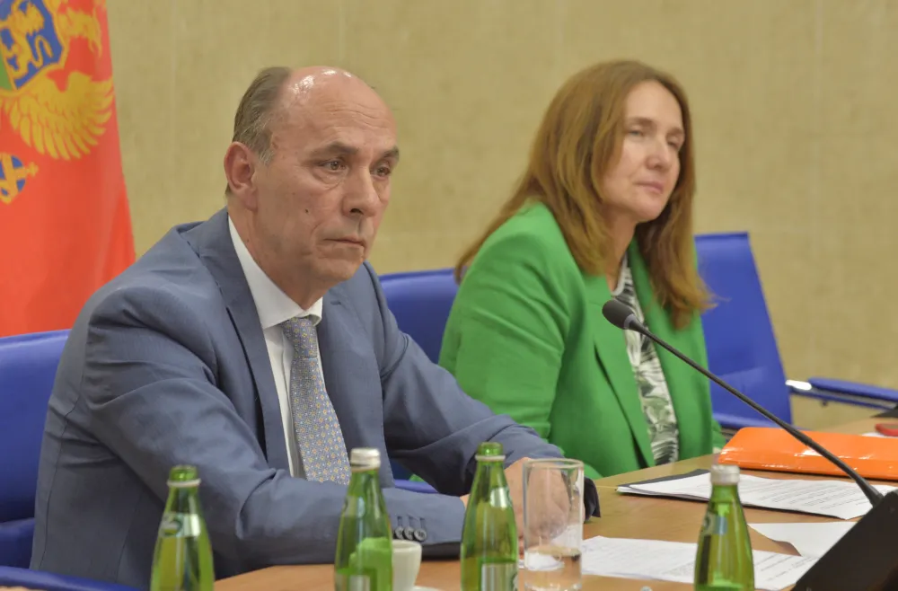 Odbor za zdravstvo, zasjedanje odbora za zdravstvo, Srdjan Pavicevic