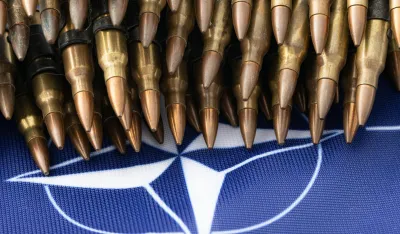 Photo by Marek Studzinski on Unsplash