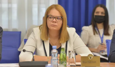 Odbor za zdravstvo, odbor za zdravstvo rad i socijalno staranje, Maja Vukcevic