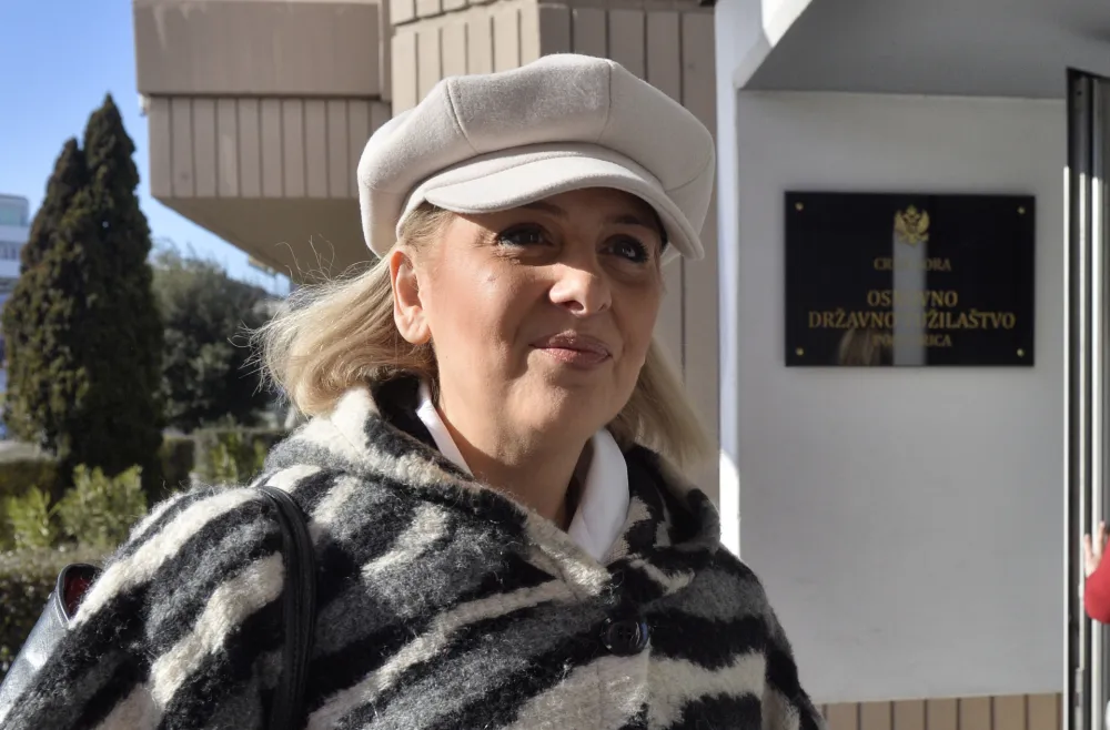 Biljana Knezevic, savjetnik direktora aerodroma cg, aerodromi cg, tuzba protiv imenovanja Petra Radulovica u ACG