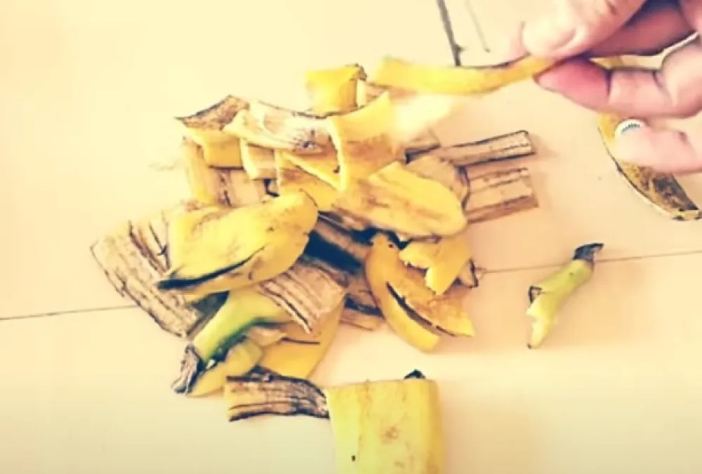 Svi bacaju koru od banane, a ona pozitivno utiče na zdravlje