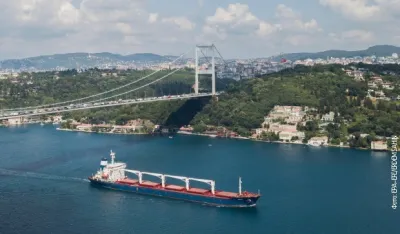 Брод са украјинским житом