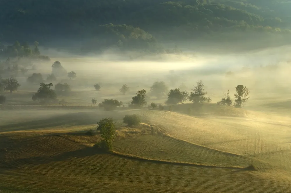 Мјесто Мокро ка Жабљаку