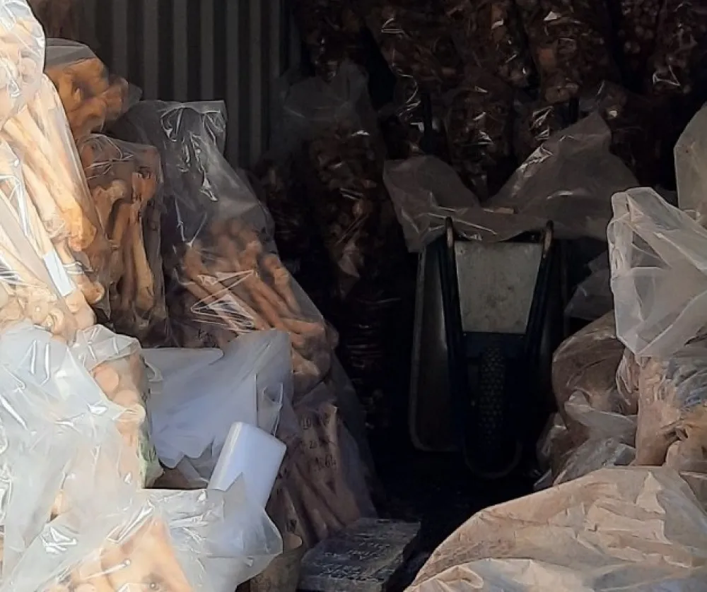 Foto: Twitter/Printscreen | U Sloveniji pronađeni ostaci 3.200 osoba 