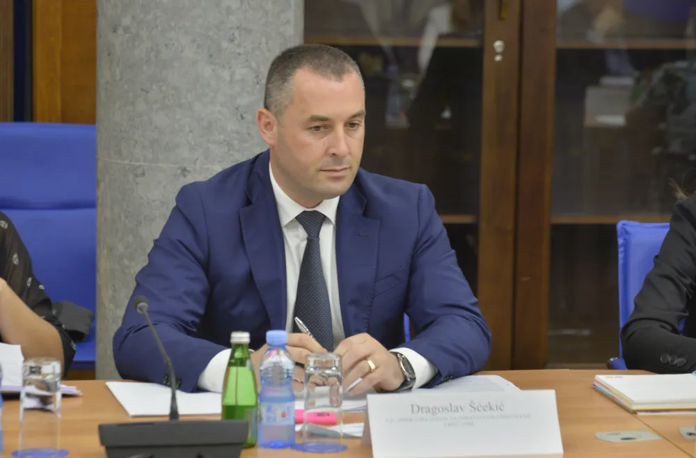 Odbor za zdravstvo, odbor za zdravstvo rad i socijalno staranje, Dragoslav Scekic, vd direktora fonda za zdravstveno osiguranje Crne Gore Dragoslav Scekic