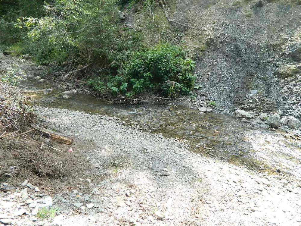 Mјe&scaron;tani Slatine, Zabrđa i Tre&scaron;njeva traže: Spriјečiti taјkune da sprovode ekolo&scaron;ki zločin na Gradi&scaron;njici